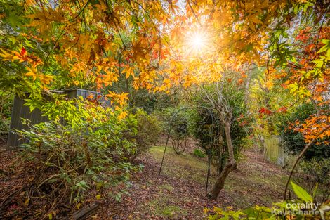 Property photo of 6 Suffolk Avenue Cockatoo VIC 3781