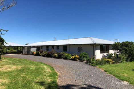 Property photo of 292 Snows Road North Dorrigo NSW 2453