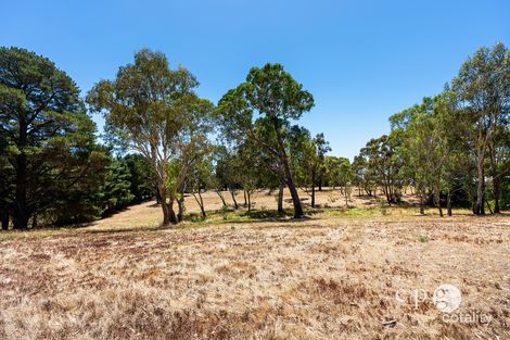Property photo of 80 Mills Road Harcourt VIC 3453