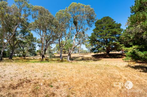 Property photo of 80 Mills Road Harcourt VIC 3453