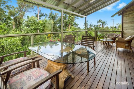 Property photo of 50 Caprioglio Road Conway QLD 4800