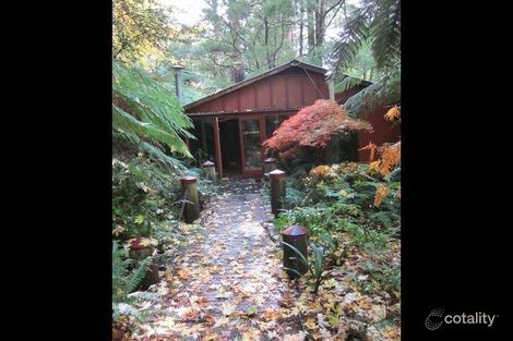 Property photo of 147 Maroondah Highway Narbethong VIC 3778