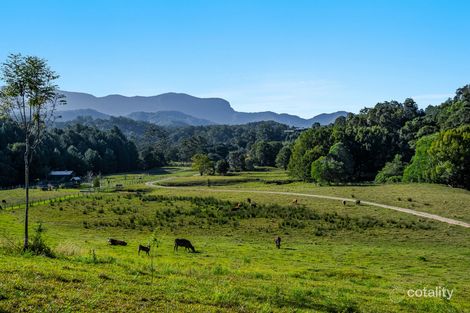 Property photo of 335 Chilcotts Road Chillingham NSW 2484