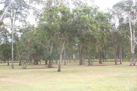 65 Sportsground St, Redcliffe, QLD 4020