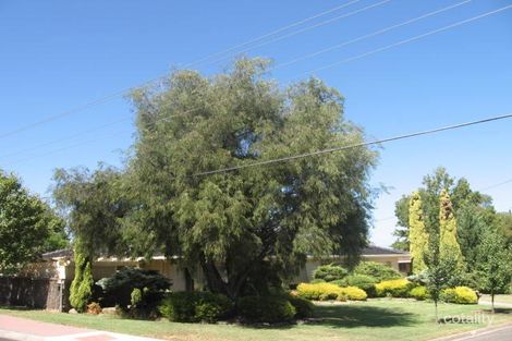 20 Cheringar Bvd, Dernancourt, SA 5075