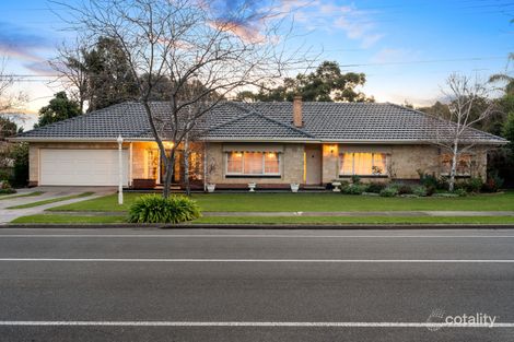 56 Fulham Park Dr, Lockleys, SA 5032