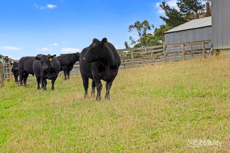 110 Forresters Rd, Wooreen, VIC 3953