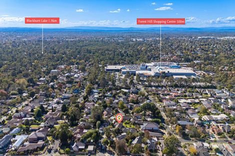 Property photo of 3 Eden Court Forest Hill VIC 3131