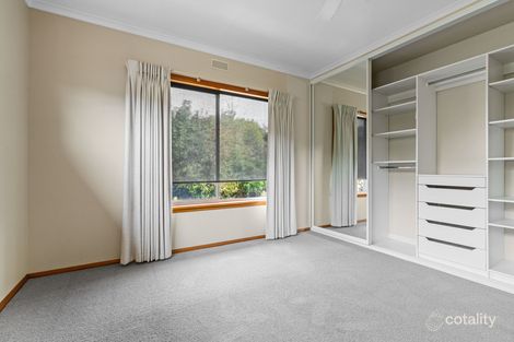 Property photo of 34986 Tasman Highway Scottsdale TAS 7260