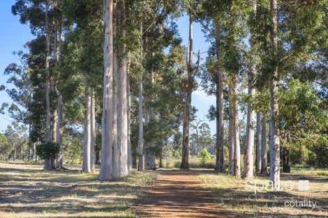 34 Sprigg Rd, Witchcliffe, WA 6286