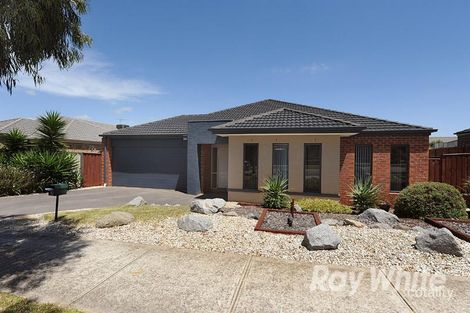 3 Emmett Ave, Berwick, VIC 3806