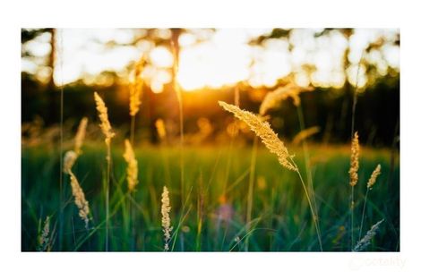 3 Churchill Ch, Hilbert, WA 6112