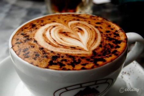 101/55 Collins St, Essendon, VIC 3040