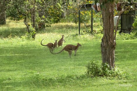 Property photo of 33 Moodys Road Hervey Range QLD 4817