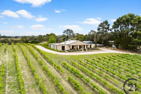 Property photo of 31 Idle Lane Kangarilla SA 5157