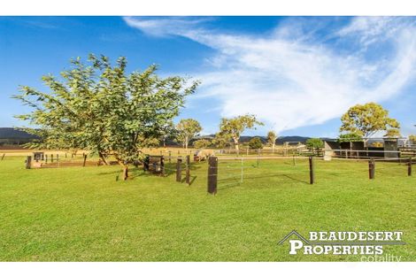Property photo of 1087 Kerry Road Kerry QLD 4285