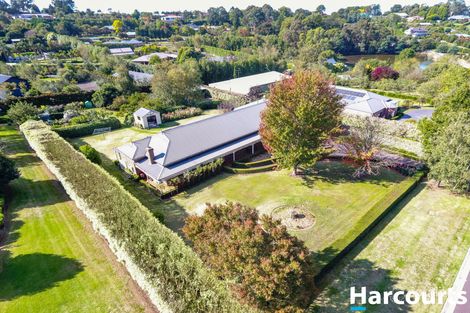 Property photo of 53 Martin Court Warragul VIC 3820