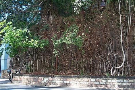 373 Ann St, Brisbane City, QLD 4000