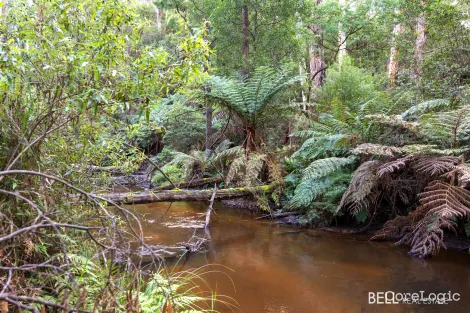 Property photo of 80D Blacksands Road Three Bridges VIC 3797
