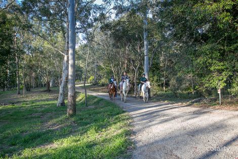 Property photo of 44 Woodlands Avenue Camira QLD 4300