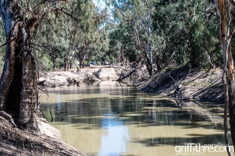 Property photo of 2693 Lachlan River Road Hillston NSW 2675