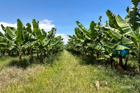 891 Syndicate Rd, Jarra Creek, QLD 4854