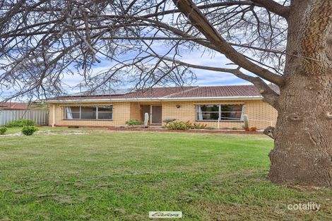 Property photo of 109 Burrows Street Mildura VIC 3500