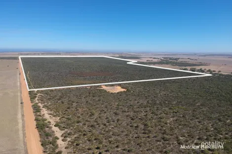 2691 Fraser Rd, Walkaway, WA 6528