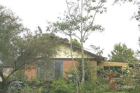 Property photo of 19 Lismore Street Acacia Ridge QLD 4110