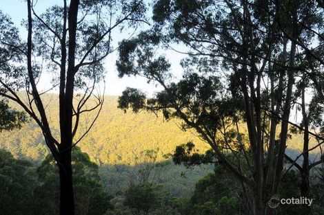 Property photo of 240 Hickeys Cutting Skenes Creek VIC 3233