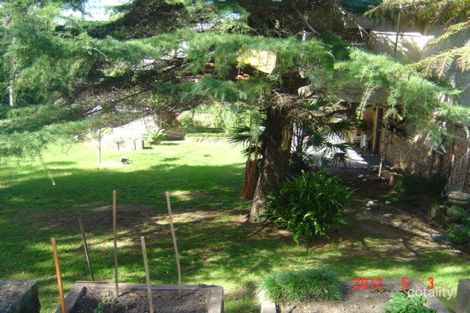 Property photo of 19 Rawson Street Coledale NSW 2515