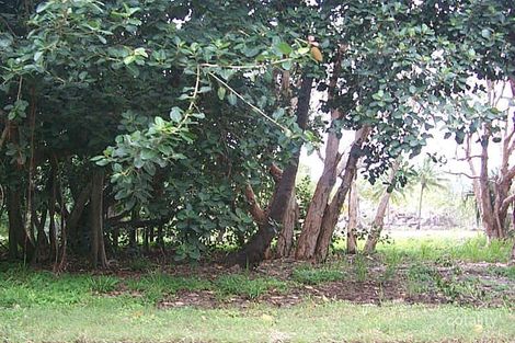 Property photo of 18 Boulder Court Nelly Bay QLD 4819