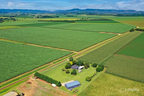 Property photo of 179 Favier Road Kairi QLD 4872