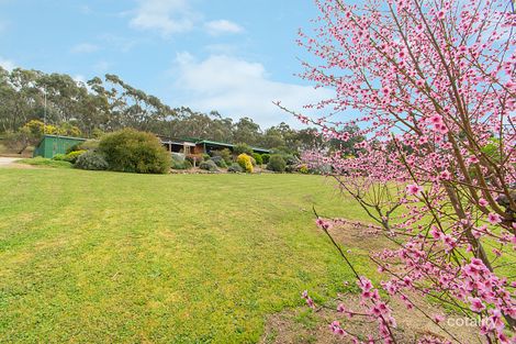 27 West Tce, Clare, SA 5453