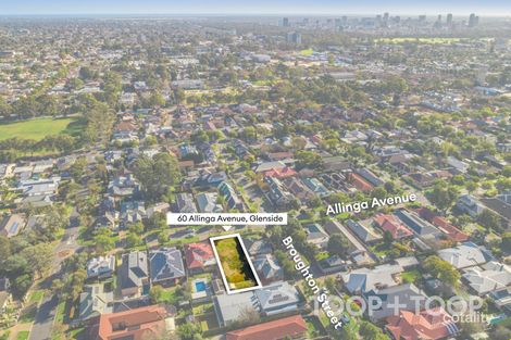 Property photo of 60 Allinga Avenue Glenside SA 5065