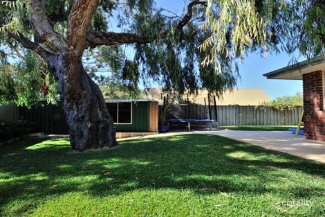 Property photo of 19 Stepmoon Street Falcon WA 6210