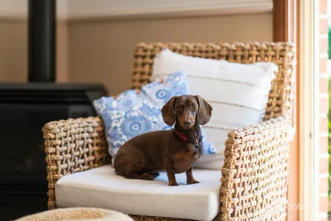 Property photo of 30 Robinia Drive Bowral NSW 2576