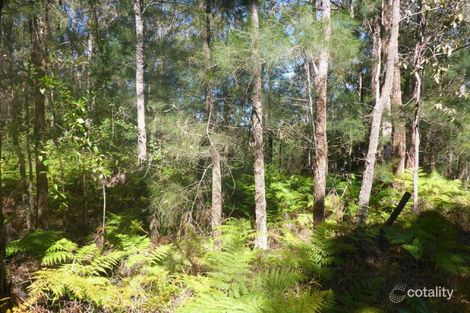 Property photo of 688 Schumanns Road Eungella QLD 4757