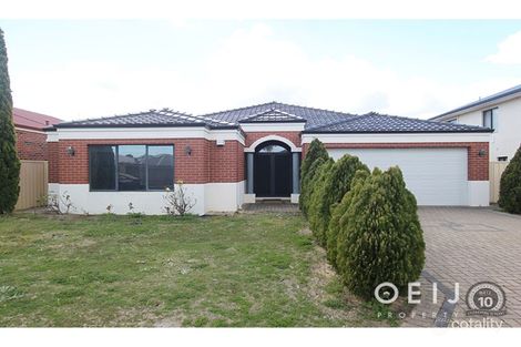27 Cotoneaster Rmbl, Stirling, WA 6021