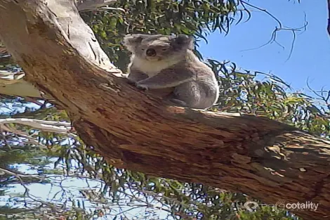 Property photo of 13-15 Harbour View Sandy Point VIC 3959