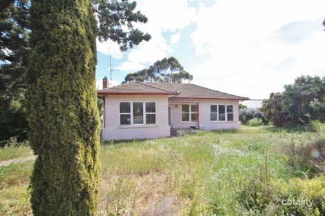 Property photo of 31 Harley Street Blyth SA 5462