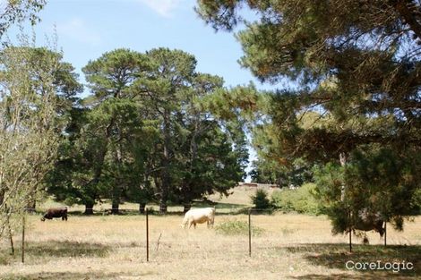 Property photo of 6 Westminster Place Burradoo NSW 2576