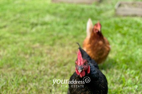 Property photo of 36 Straight Drive Browns Plains QLD 4118