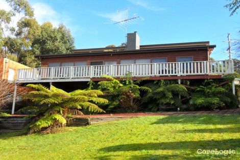 Property photo of 1 Austin Court Lorne VIC 3232