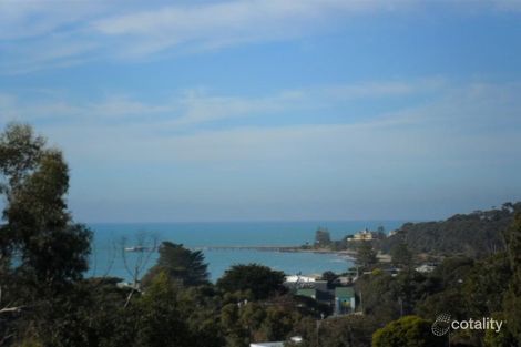 Property photo of 1 Austin Court Lorne VIC 3232