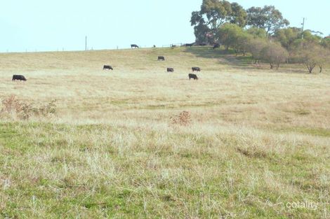 6 Womersley Rd, Yarragon South, VIC 3823