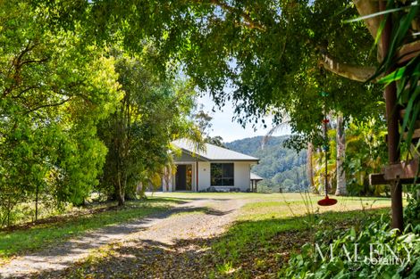 Property photo of 122 Upper Cedar Creek Road Elaman Creek QLD 4552
