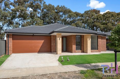 Property photo of 8 Eucalyptus Street Jackass Flat VIC 3556