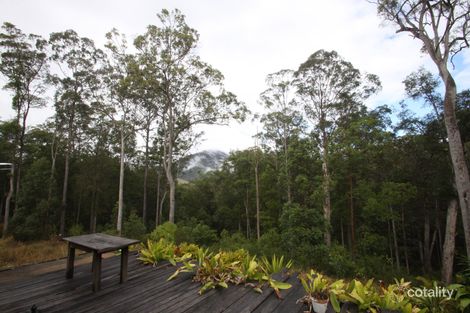 424 Doon Doon Rd, Doon Doon, NSW 2484