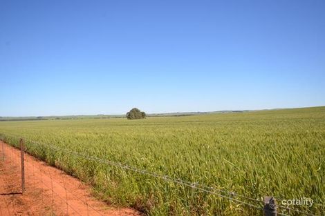 94 Sod Hut Rd, Farrell Flat, SA 5416